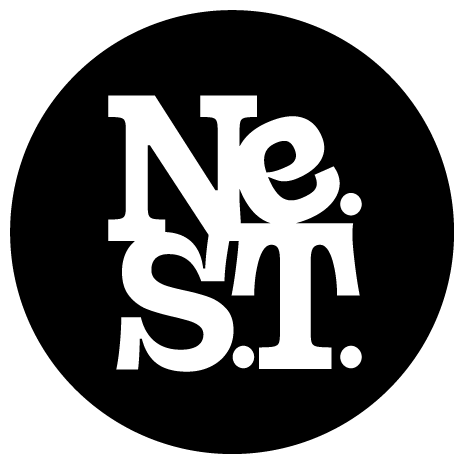 Northeast Skatepark Trust logo